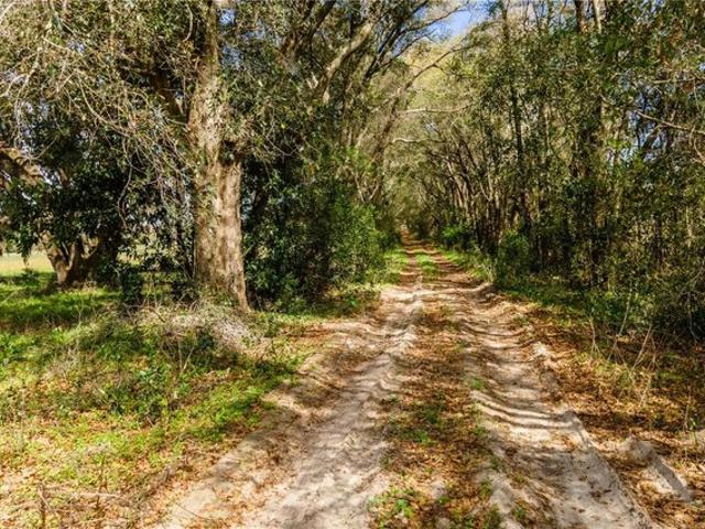 Land for sale in Newberry, Alachua County