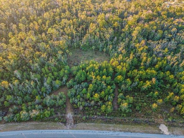 Land for sale in Steinhatchee, Florida