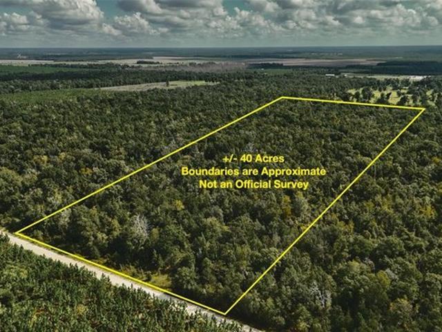 Land for sale in Jasper, Hamilton County
