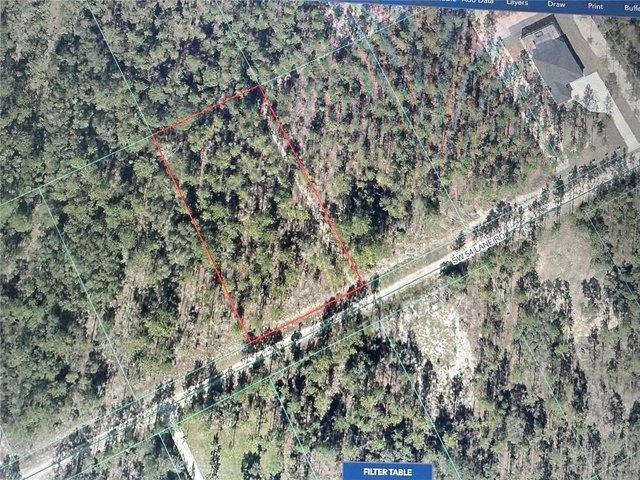 Land for sale in Dunnellon, Florida