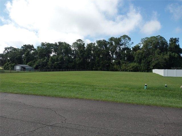 Land for sale in Williston, Levy County
