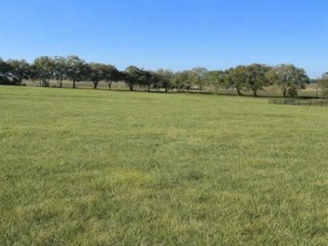 Farm for sale in Dunnellon, Florida
