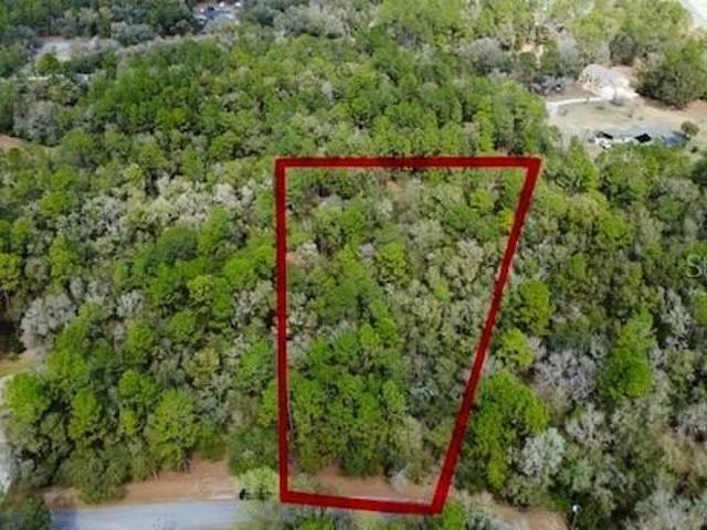 Land for sale in Dunnellon, Florida