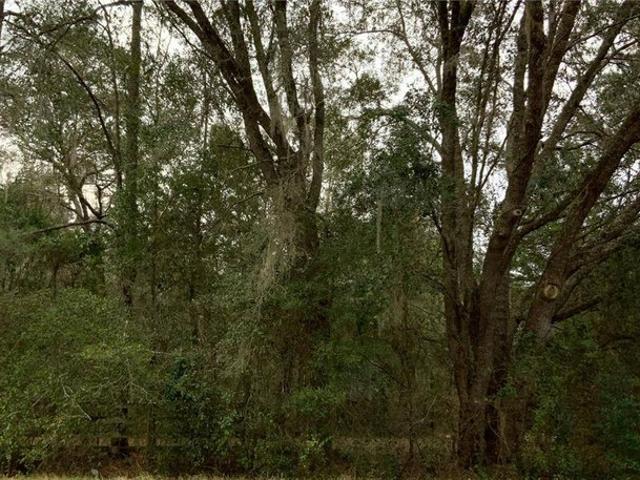 Land for sale in Gainesville, Florida