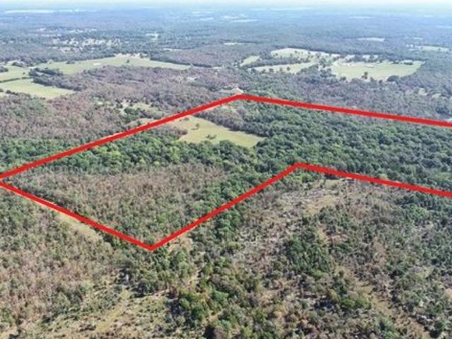 Land for sale in Osceola, Missouri