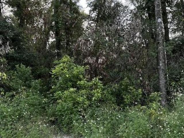 Land for sale in Trenton, Gilchrist County