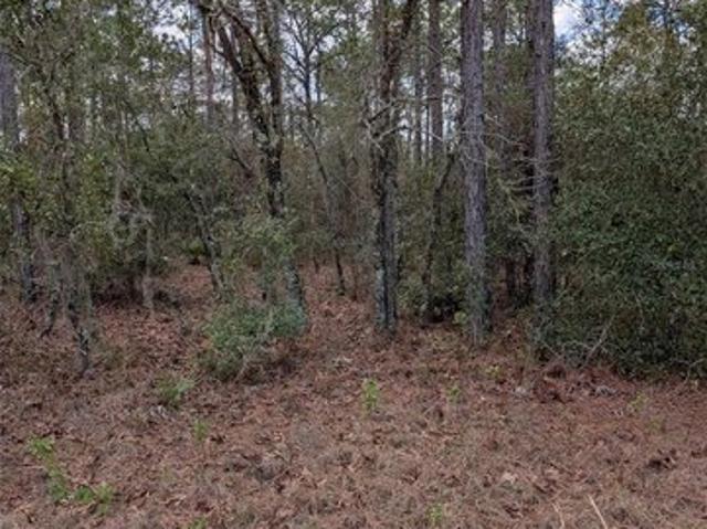Land for sale in Dunnellon, Florida