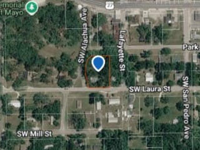House for sale in Mayo, Florida