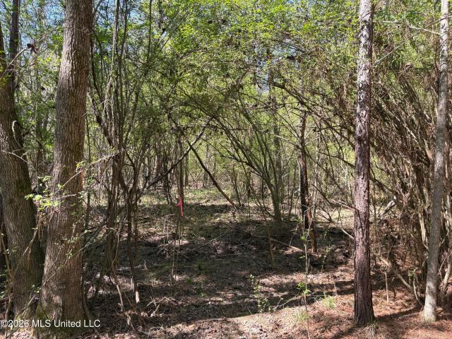 Land for sale in Mississippi