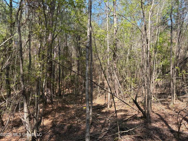 Land for sale in Mississippi