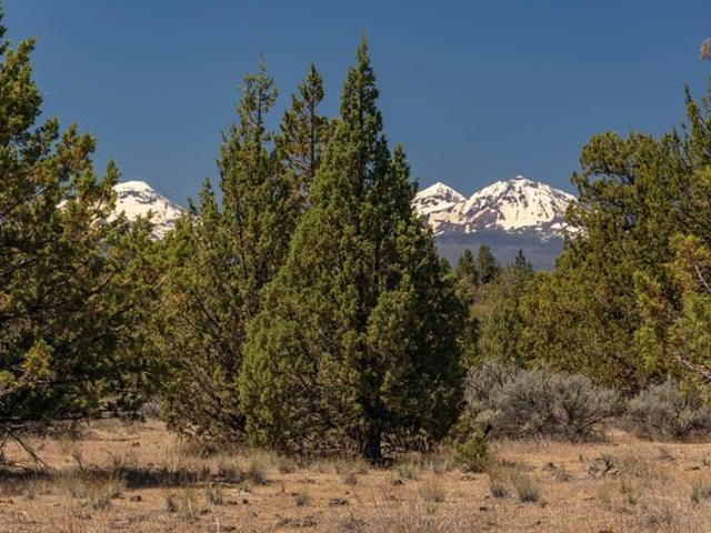 Land for sale in Oregonia