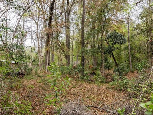 Land for sale in Fort White, Florida