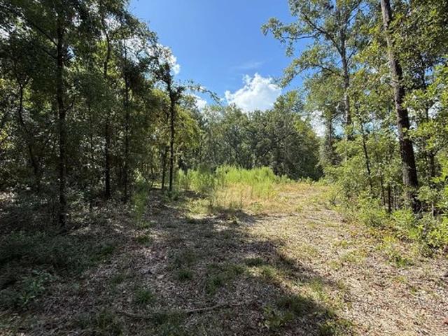 Land for sale in Fort White, Florida