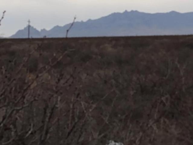 Land for sale in Luna, New Mexico