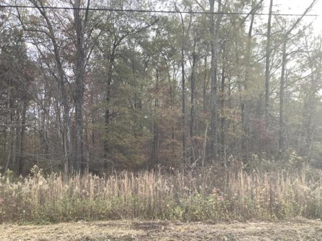 Land for sale in Dalton, Georgia