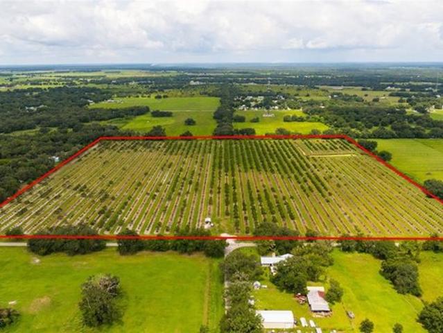 Land for sale in Arcadia, Florida
