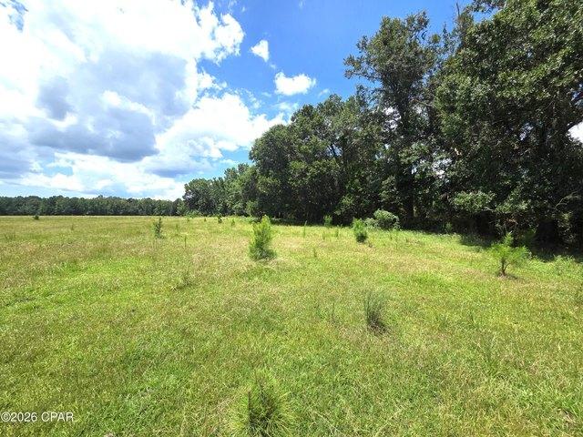 Land for sale in Bristol, Florida