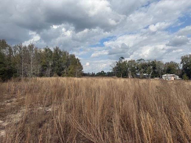 Land for sale in Jasper, Florida