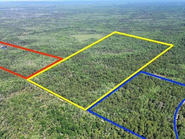 Land for sale in Chiefland, Florida