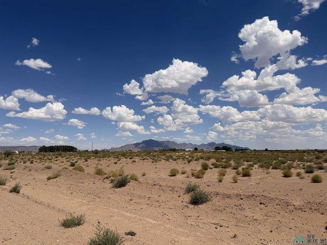 Land for sale in Luna, New Mexico