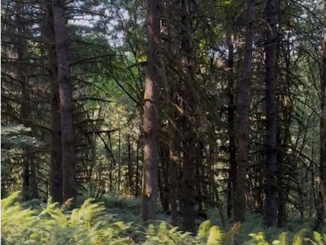 Land for sale in Oregonia