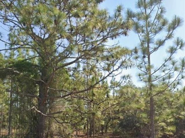 Land for sale in Dunnellon, Florida