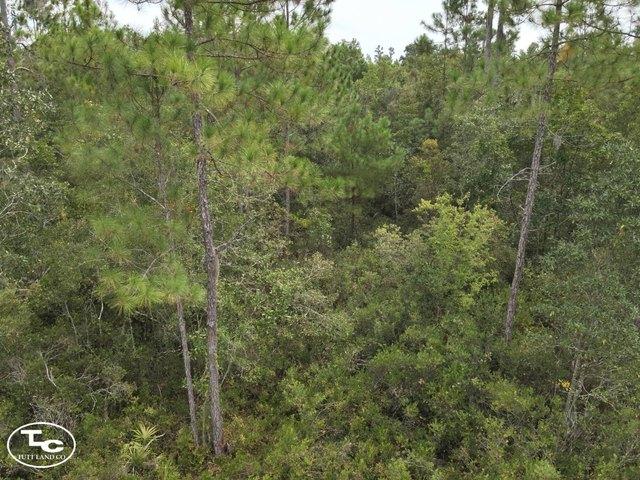 Land for sale in Madison, Florida