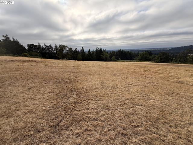 Land for sale in Oregonia
