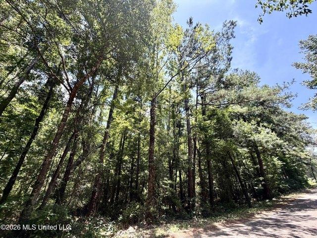 Land for sale in Mississippi