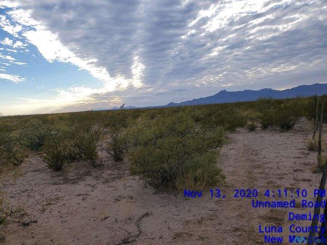 Land for sale in Luna, New Mexico