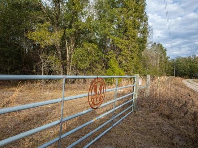 Land for sale in Fort White, Florida