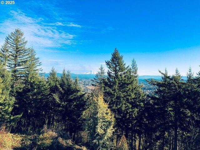 Land for sale in Gresham Butte, Gresham