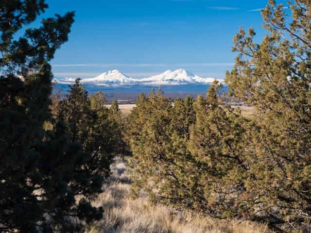Land for sale in Oregonia