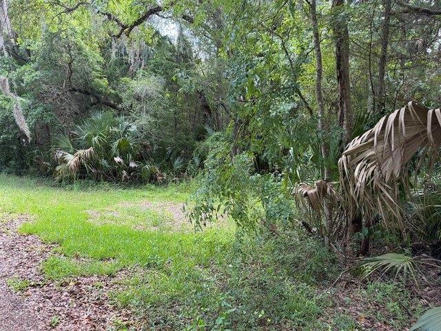 Land for sale in Inglis, Florida