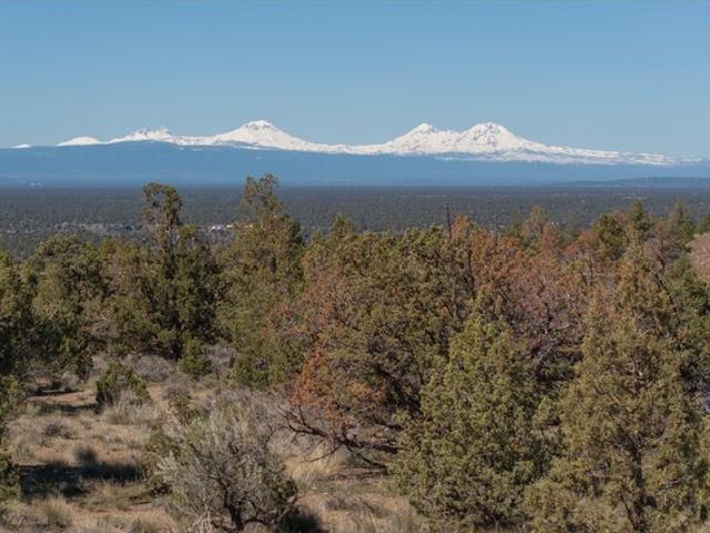 Land for sale in Oregonia