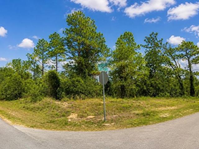 Land for sale in Dunnellon, Florida