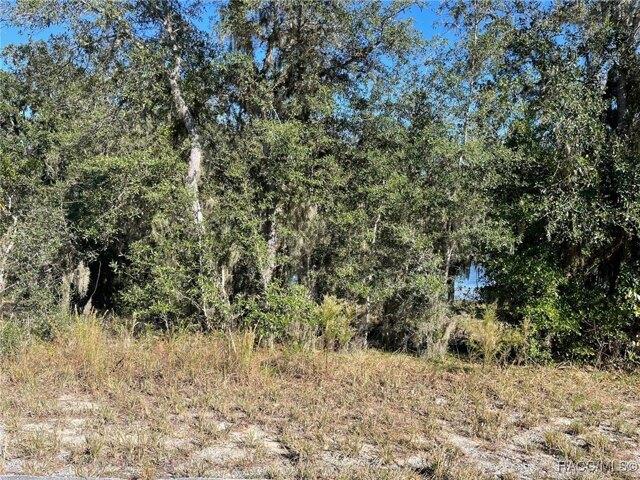 Land for sale in Florida