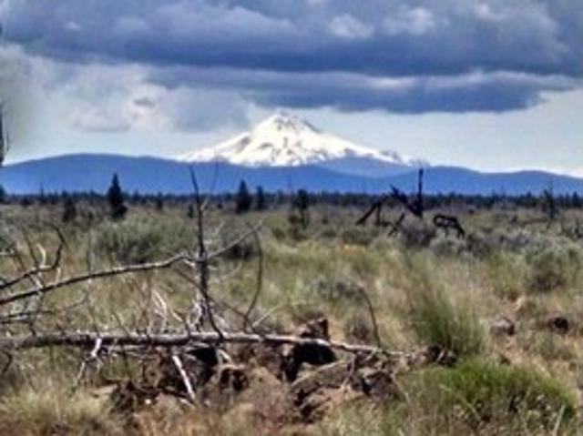 Land for sale in Oregonia