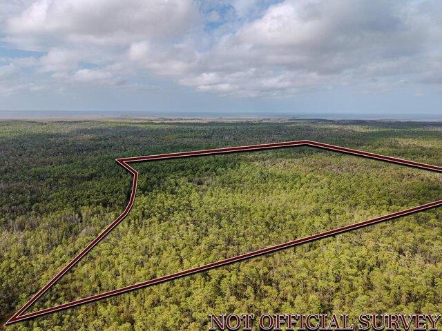 Land for sale in Horseshoe Beach, Florida