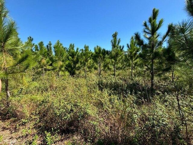 Land for sale in Bell