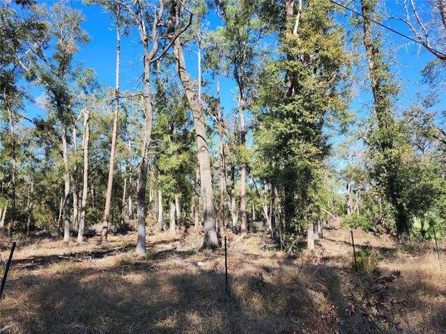 Land for sale in Bell