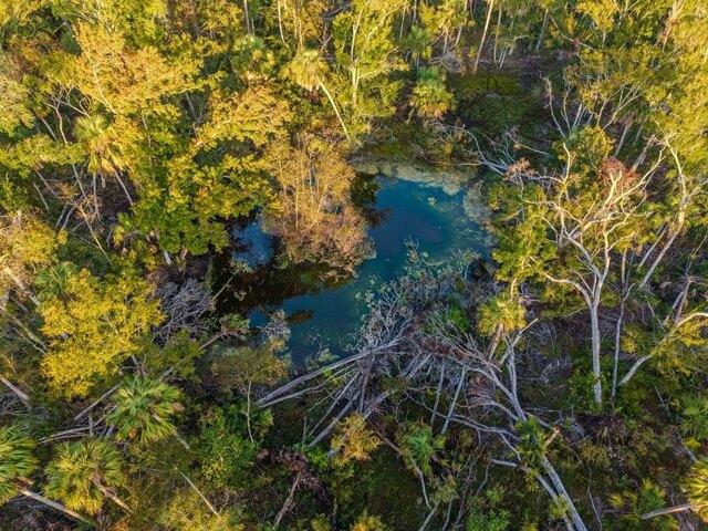Land for sale in Horseshoe Beach, Florida