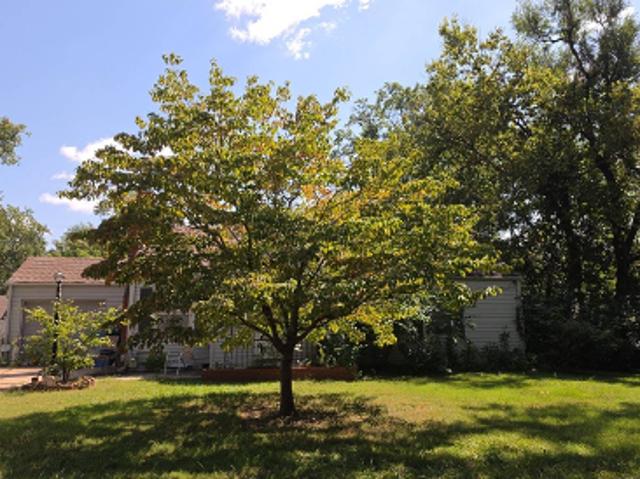 House for sale in Kansas