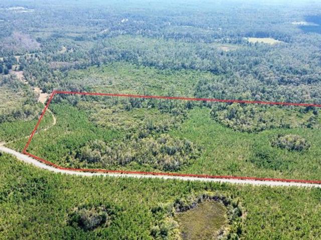 Land for sale in Greenville, Madison County