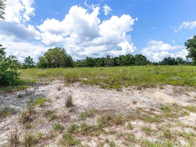 Land for sale in Dunnellon, Florida