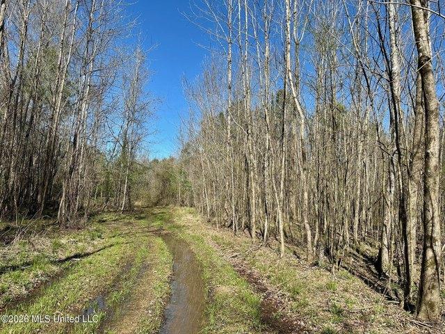 Land for sale in Carthage, Mississippi