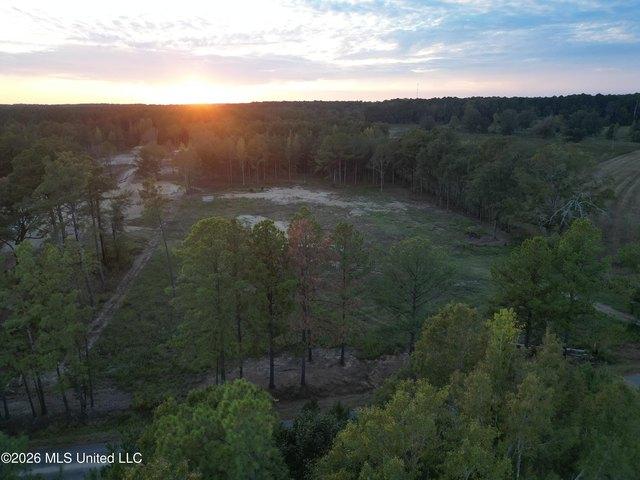 Land for sale in Carthage, Leake County