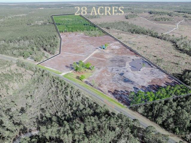 Farm for sale in Waycross, Georgia