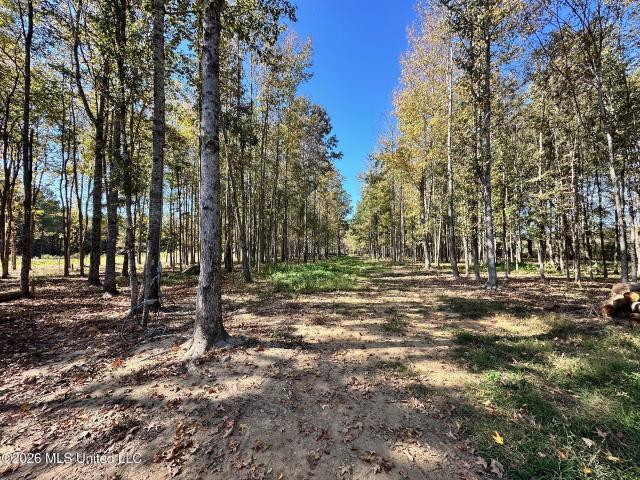 Land for sale in Carthage, Leake County