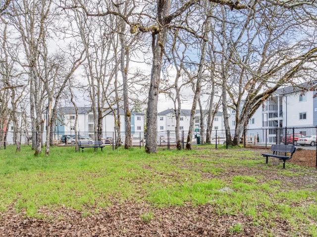 Apartment for rent in Lakewood, Washington